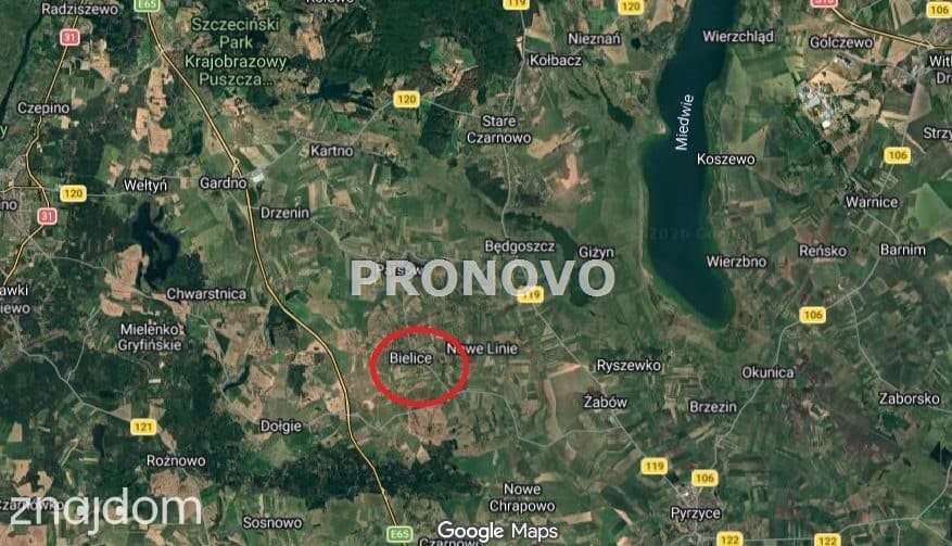 działki budowlane Bielice - zdjęcie 5