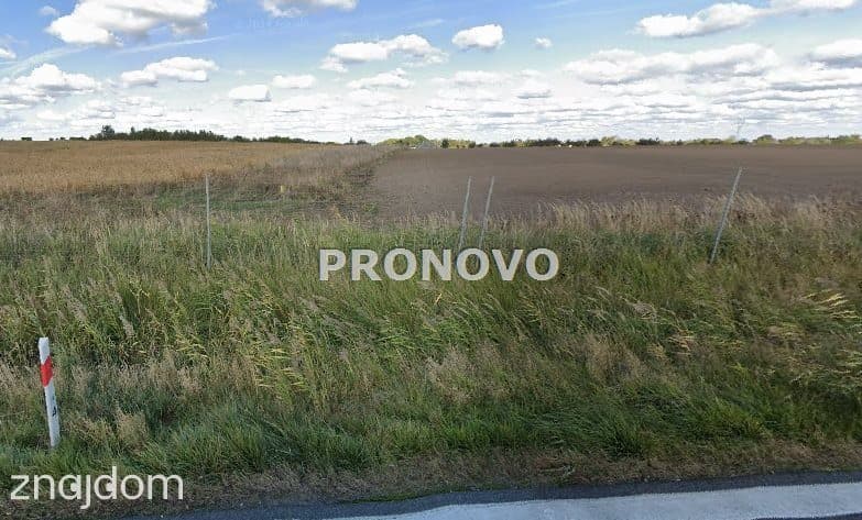 Działki rolne Kołbaskowo- Siadło Górne - zdjęcie 6