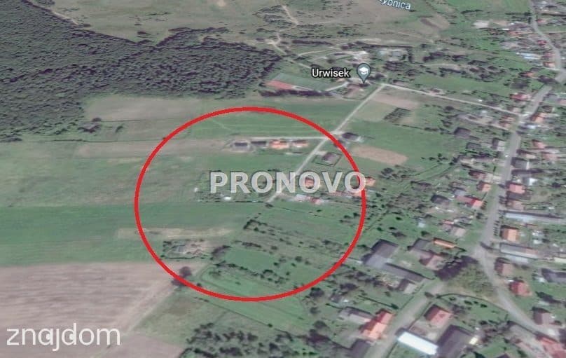 działka rolna Przęsocin - zdjęcie 4