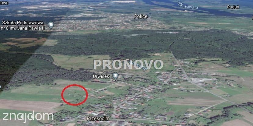 działka rolna Przęsocin - zdjęcie 5