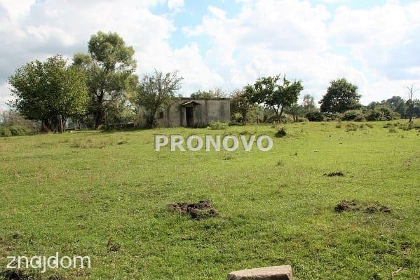 działka 4,5ha Tatynia z możliwością zabudowy - zdjęcie 14