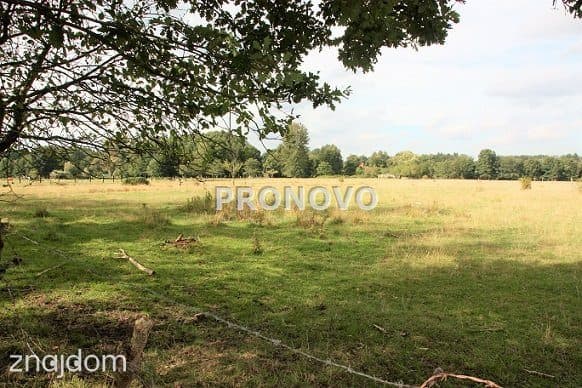 działka 4,5ha Tatynia z możliwością zabudowy - zdjęcie 8