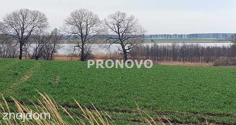 działka nad rzeką Dziwną - zdjęcie 5