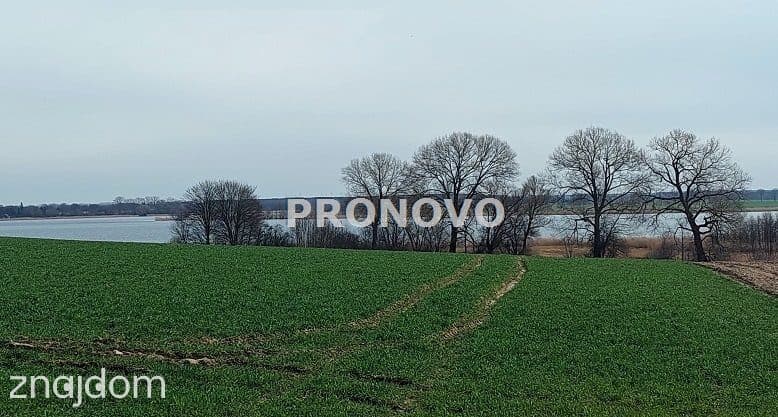 działka nad rzeką Dziwną - zdjęcie 6