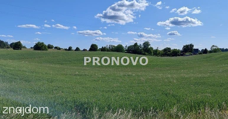 atrakcyjna działka rolna-agroturystyka Stara Studn