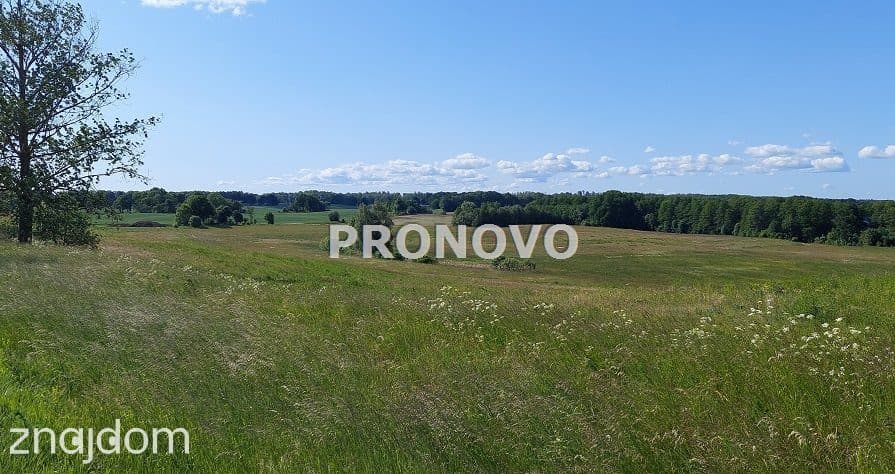 atrakcyjna działka rolna-agroturystyka Stara Studn - zdjęcie 3