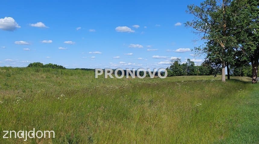 atrakcyjna działka rolna-agroturystyka Stara Studn - zdjęcie 4
