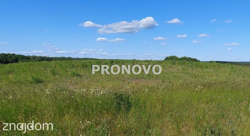 atrakcyjna działka rolna-agroturystyka Stara Studn - zdjęcie 5