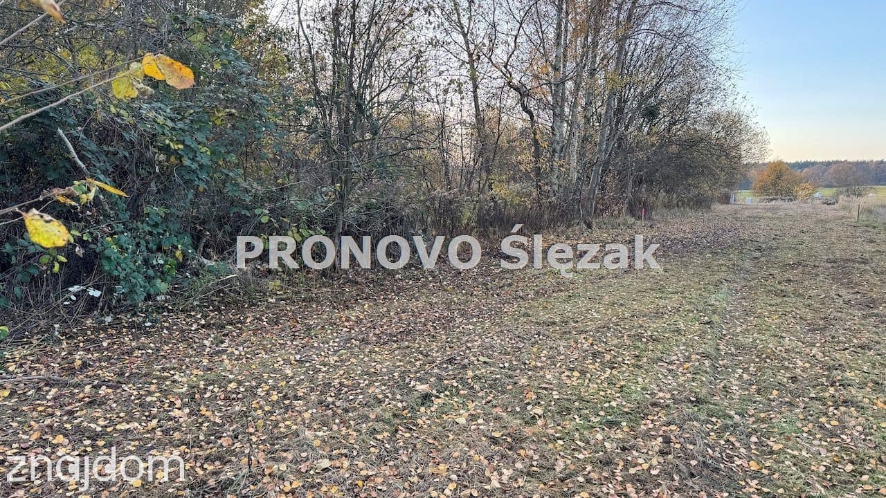 Rościsławice.Działka 1266 m².8 min od Obornik Śl. - zdjęcie 4