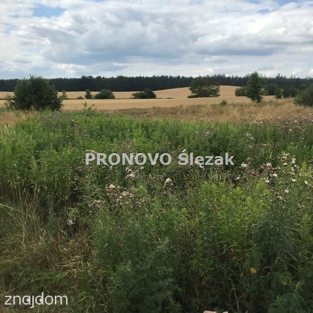 Rościsławice.Działka 1266 m².8 min od Obornik Śl. - zdjęcie 7