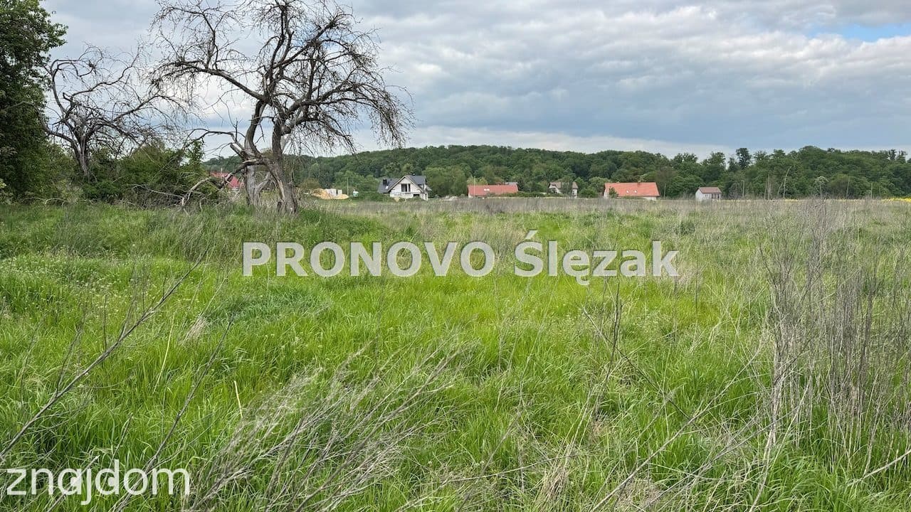 Sprzedam działkę z potencjałem - zdjęcie 2