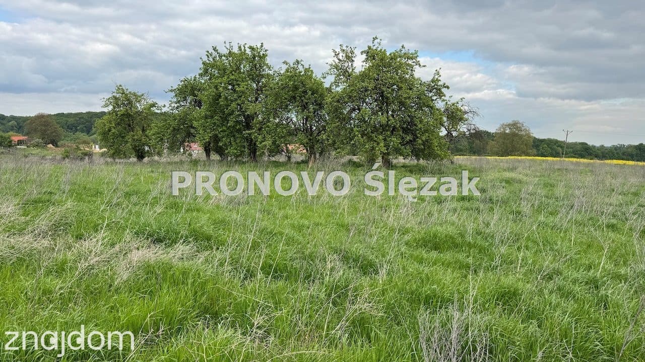 Sprzedam działkę z potencjałem - zdjęcie 3