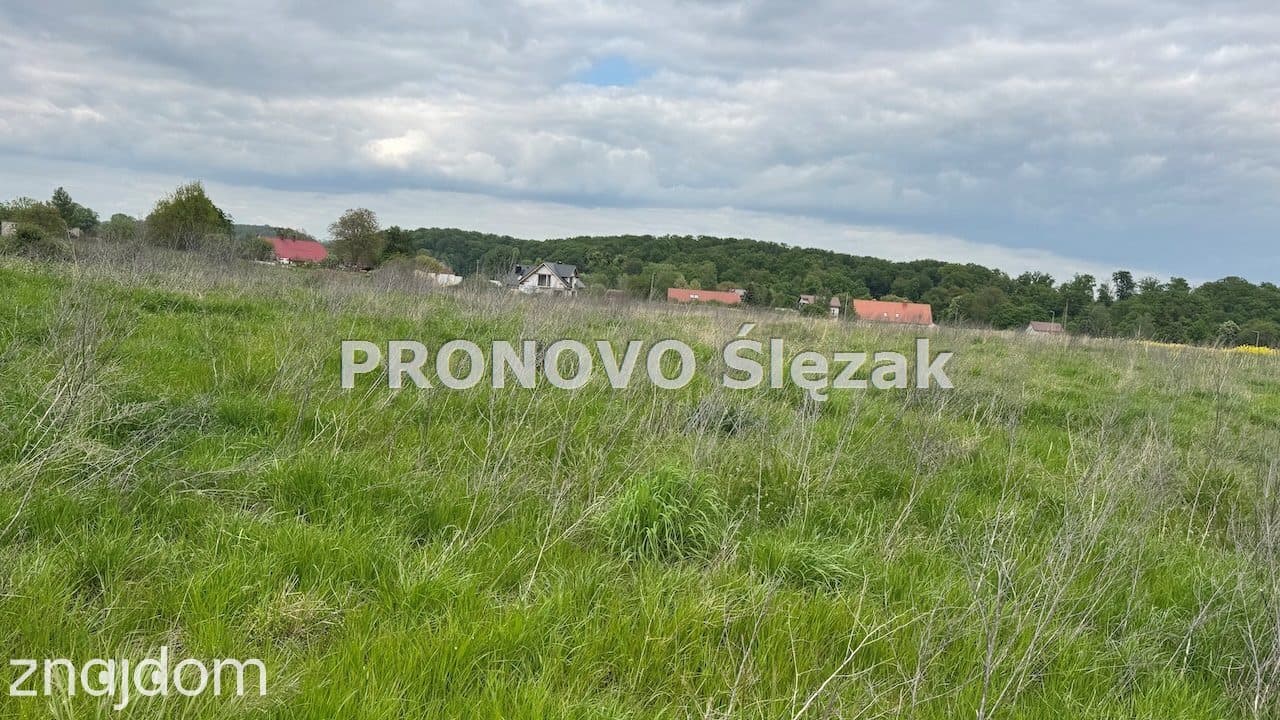 Sprzedam działkę z potencjałem - zdjęcie 4