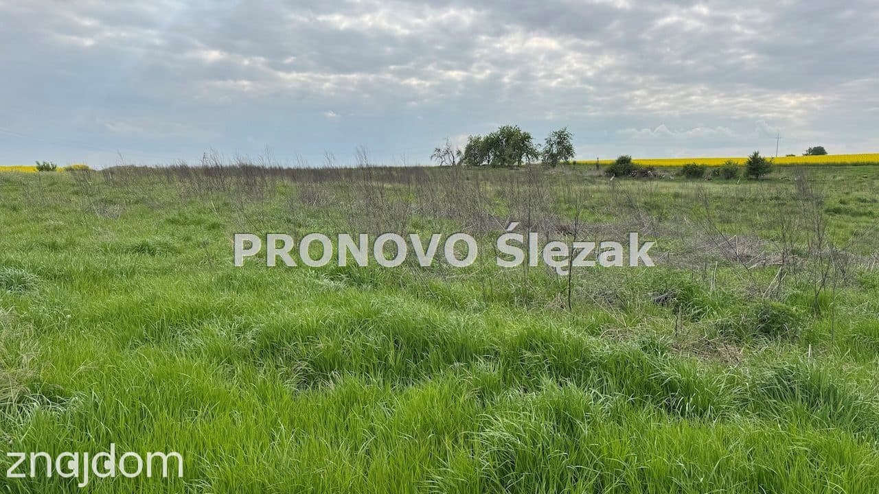 Sprzedam działkę z potencjałem - zdjęcie 5