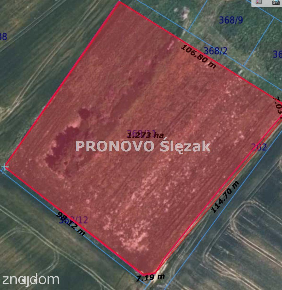 Sprzedam działkę z potencjałem - zdjęcie 6
