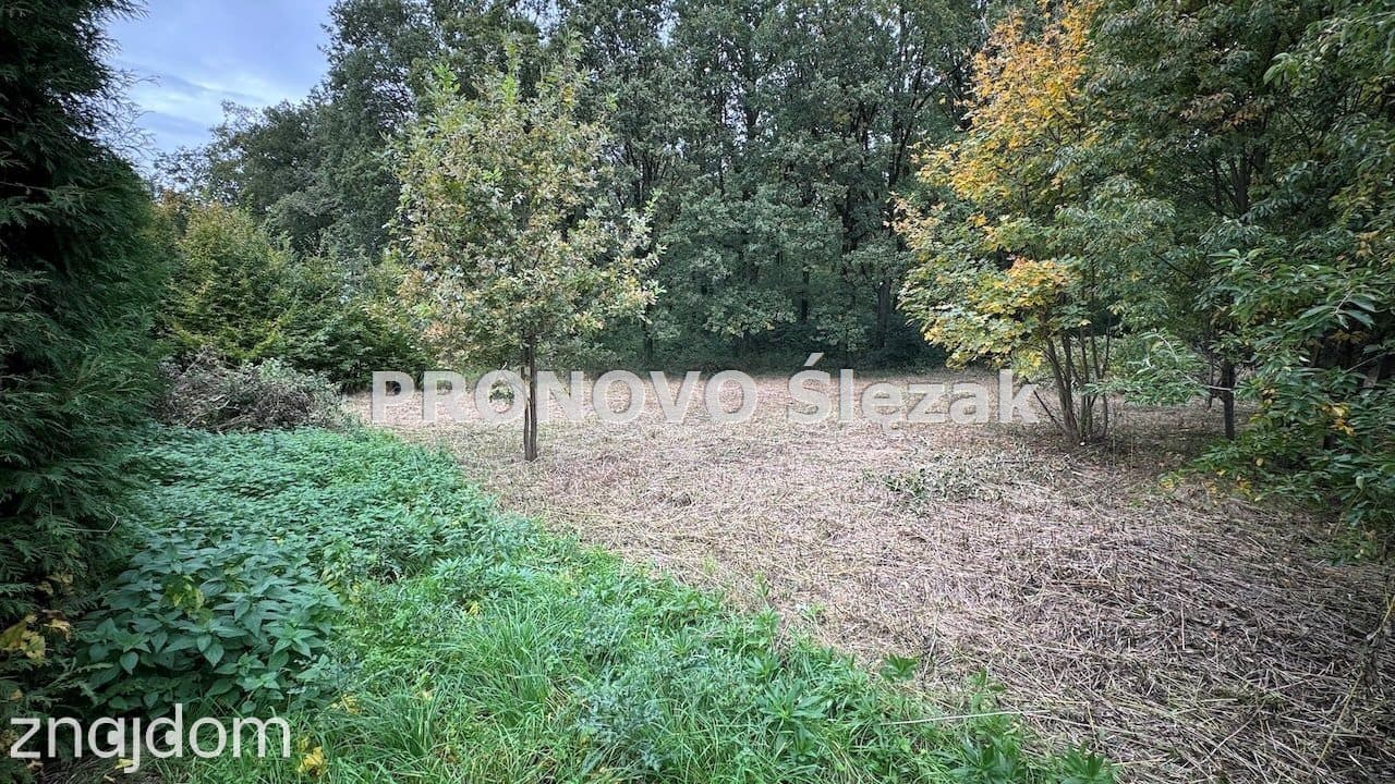 Sprzedam działkę budowlaną Siemianice k.Obornik Śl - zdjęcie 2