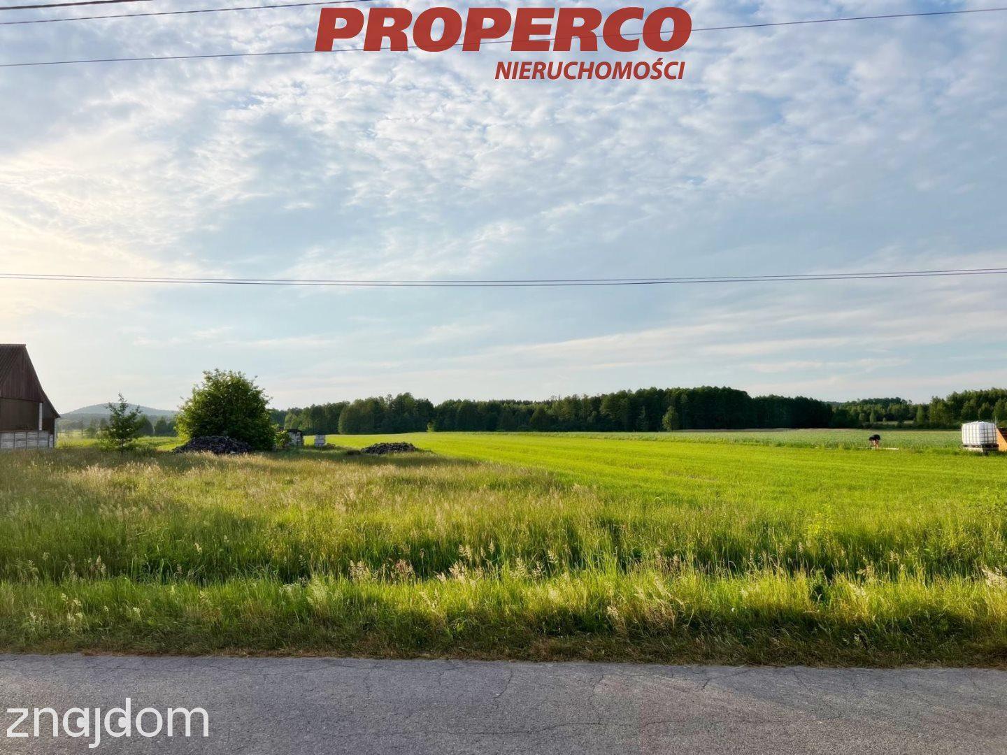 Działka 1500m2, Piotrowiec gm.Łopuszno - zdjęcie 4