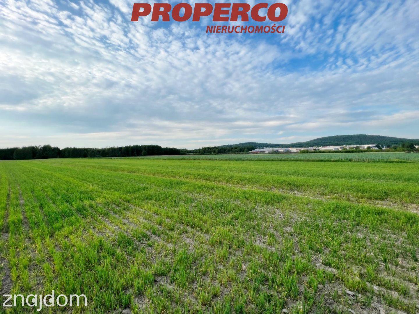 Działka 1500m2, Piotrowiec gm.Łopuszno - zdjęcie 9