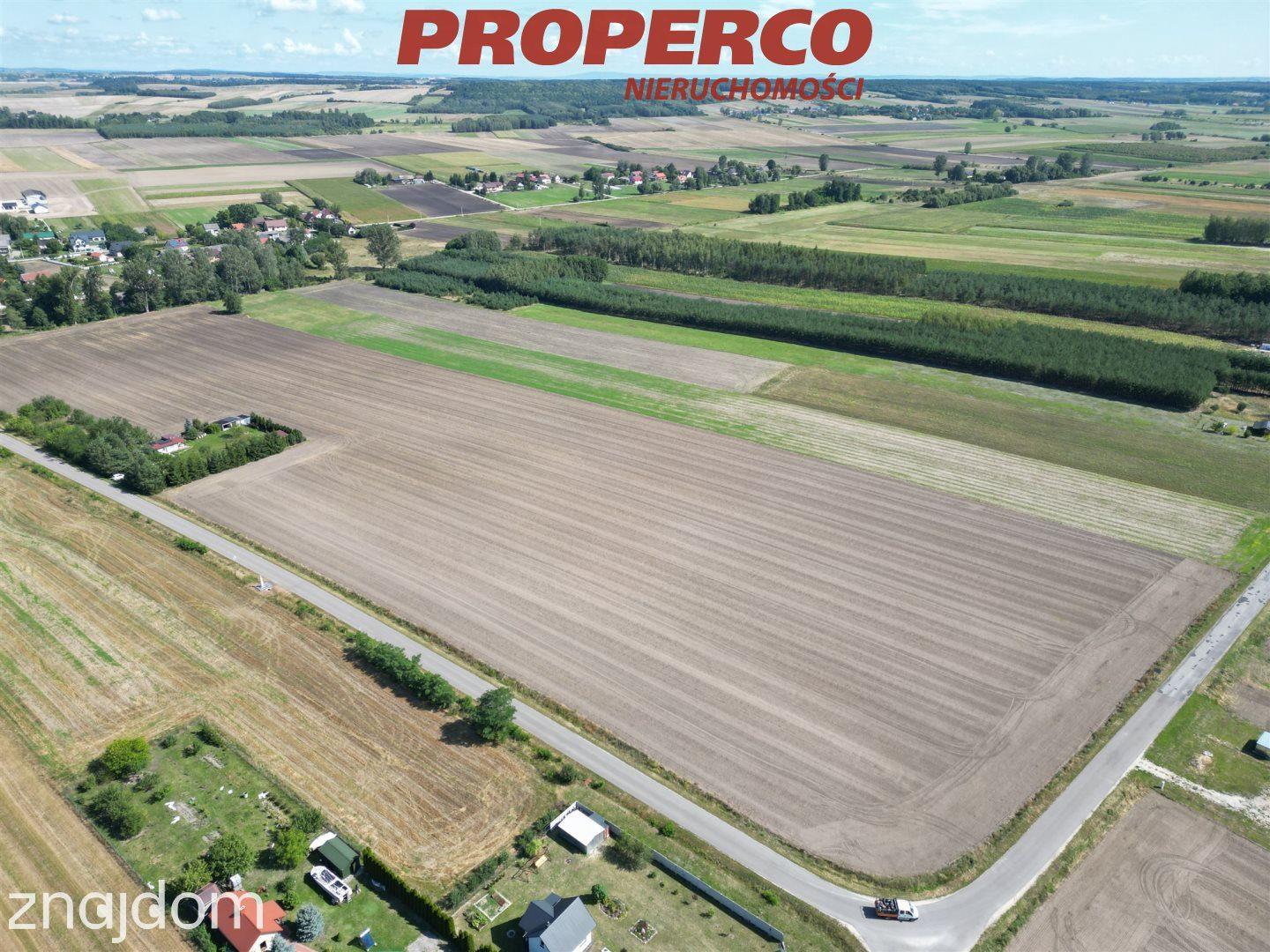 Działka pow. 15300m2, Rębów, gm. Kije - zdjęcie 5