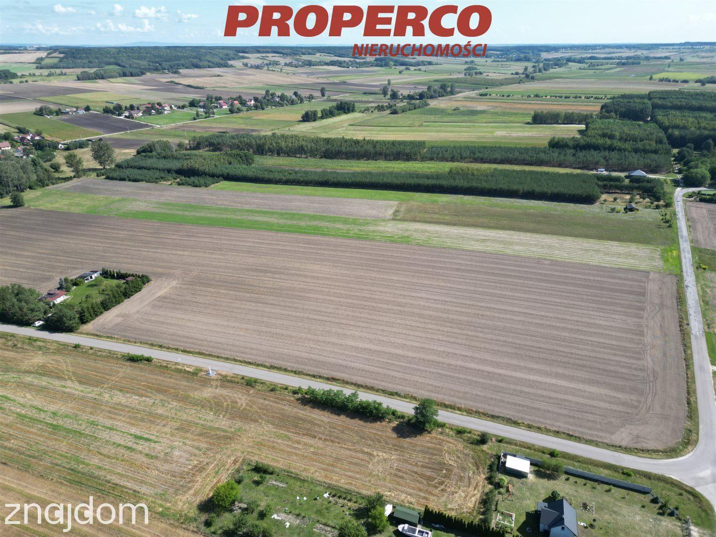 Działka pow. 15300m2, Rębów, gm. Kije - zdjęcie 6
