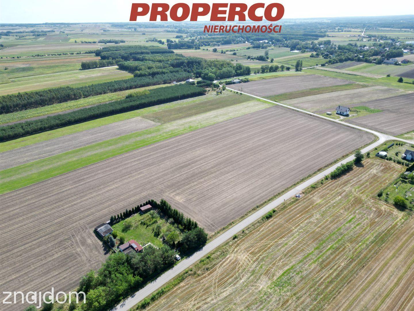 Działka pow. 15300m2, Rębów, gm. Kije - zdjęcie 7
