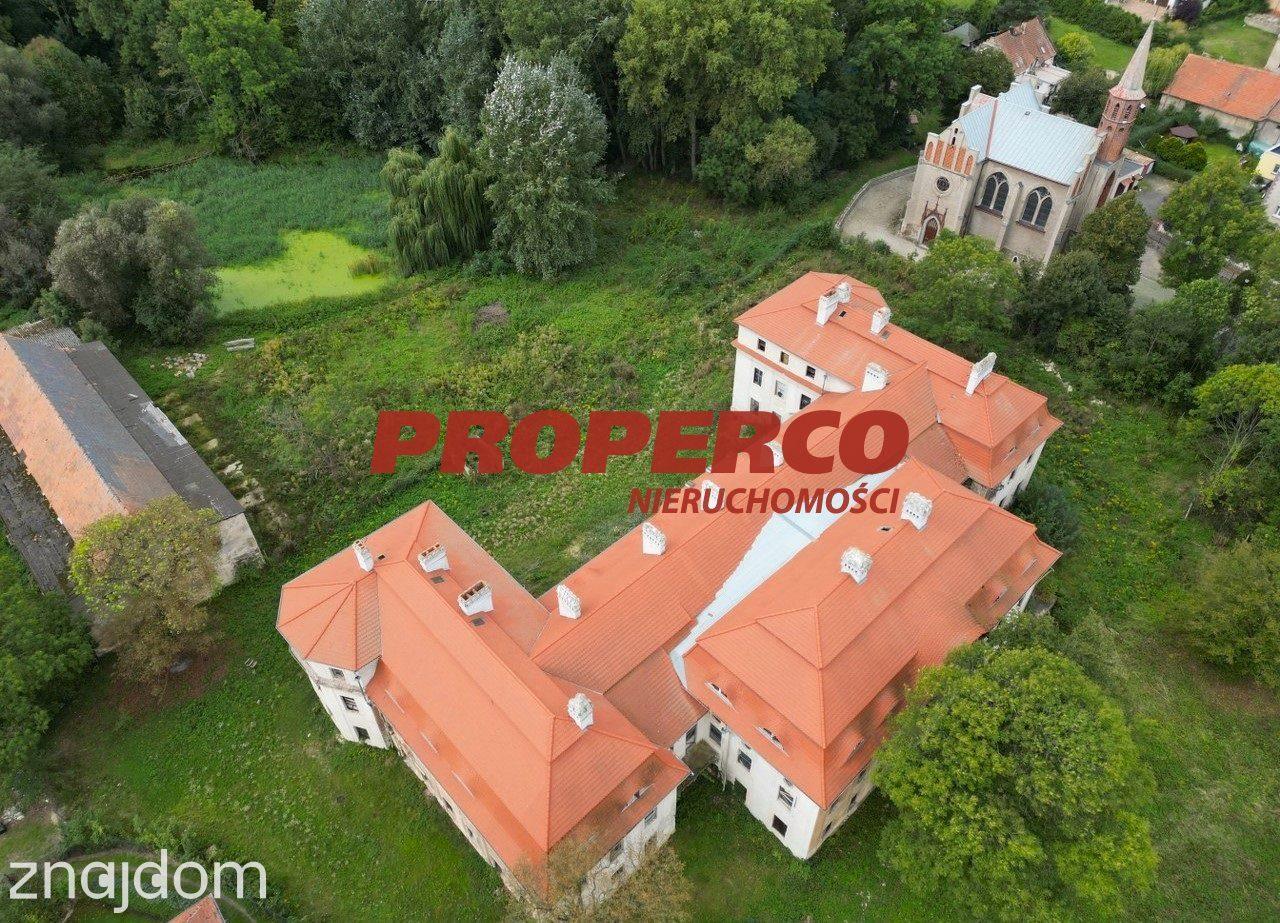 Pałac z XVII wieku, 4100 m2, park 10 ha, Małuszów - zdjęcie 3