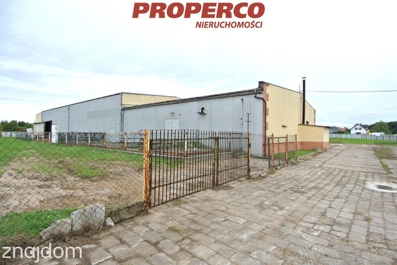 Lokal 1200m2, Łagiewniki, Busko-Zdrój - zdjęcie 3