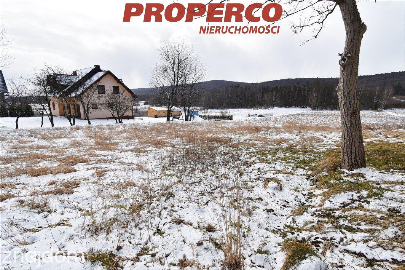 Działka 35 500 m2, Zagórze, gm. Łączna - zdjęcie 4