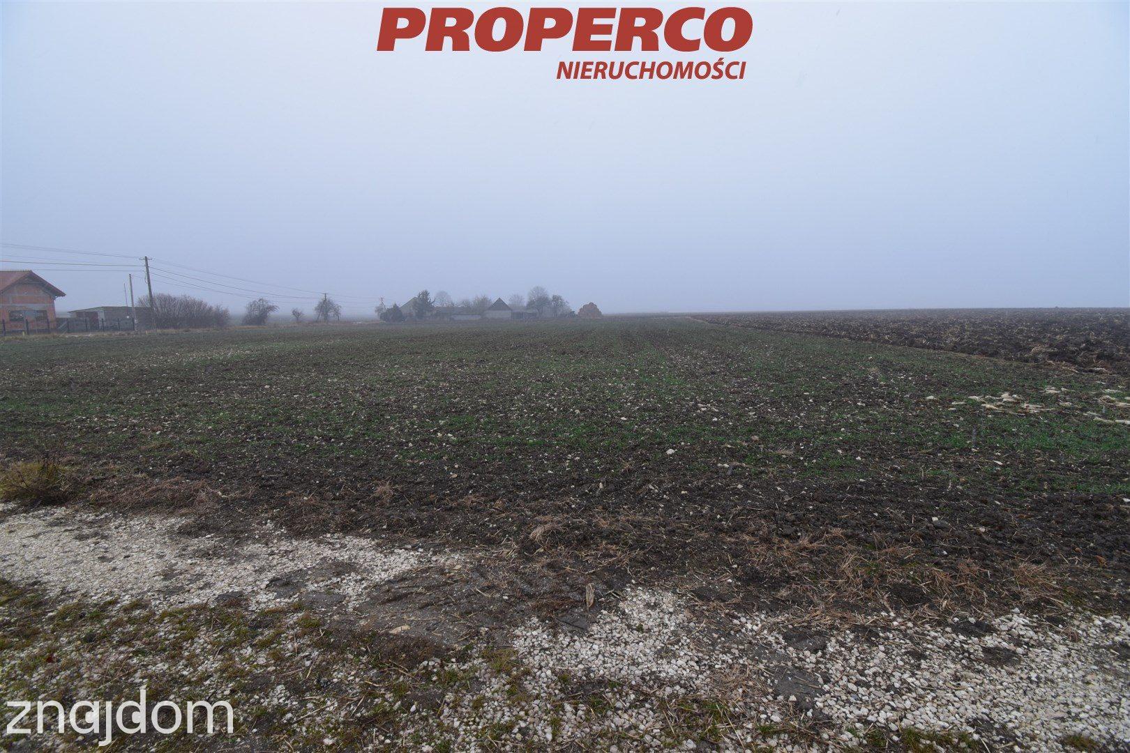 Działka 6200 m2, Potok Mały, gm. Jędrzejów