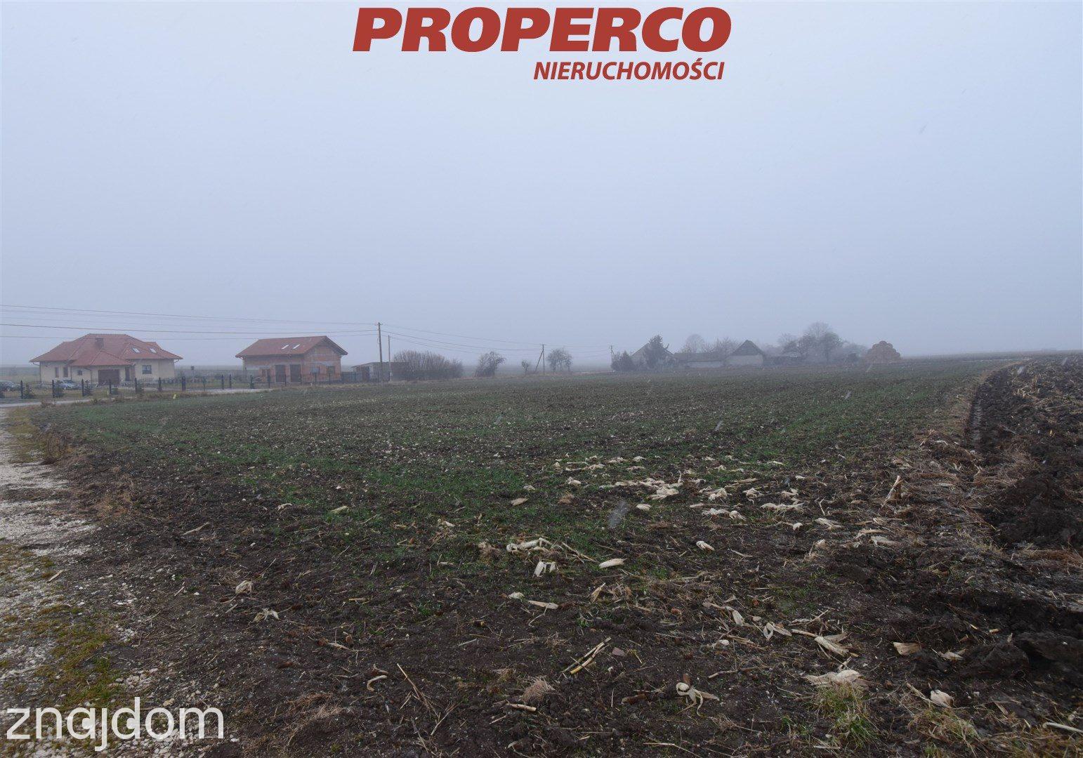 Działka 6200 m2, Potok Mały, gm. Jędrzejów - zdjęcie 3