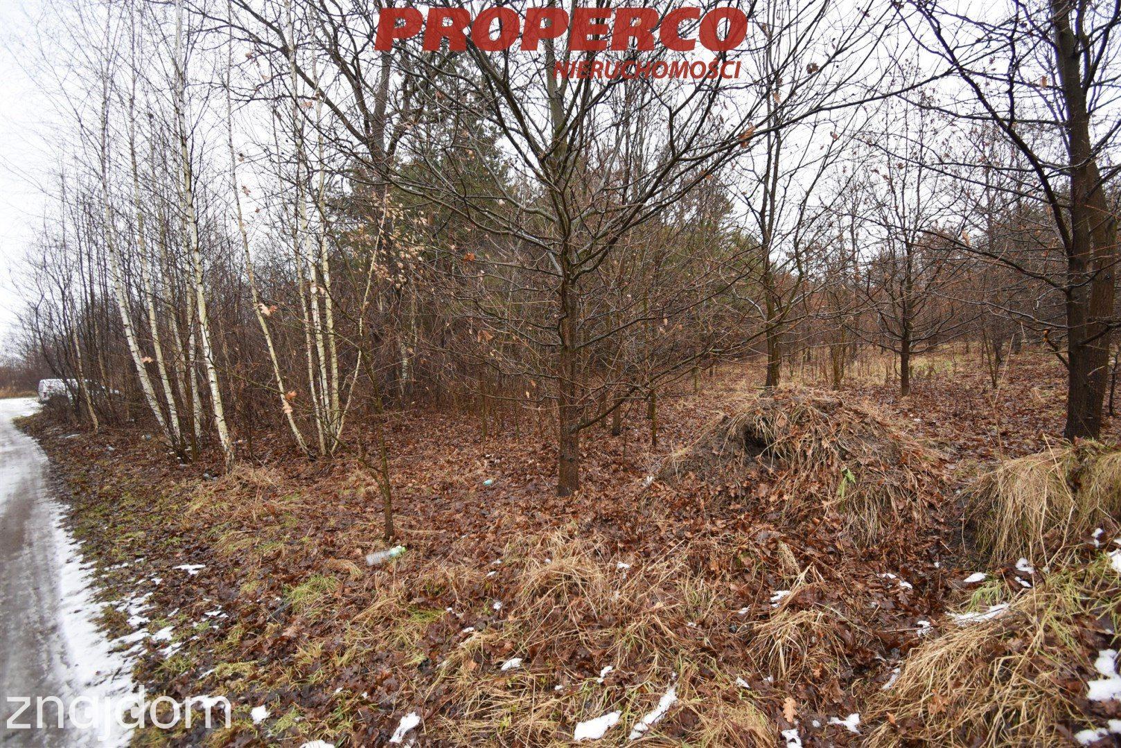 Działka 4342m2, Starachowice, Łazy - zdjęcie 2