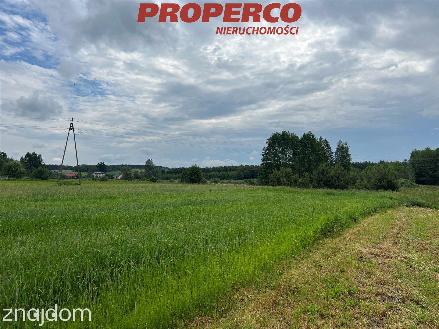 Działka 5940 m2, Łukowa, gm. Chęciny - zdjęcie 4