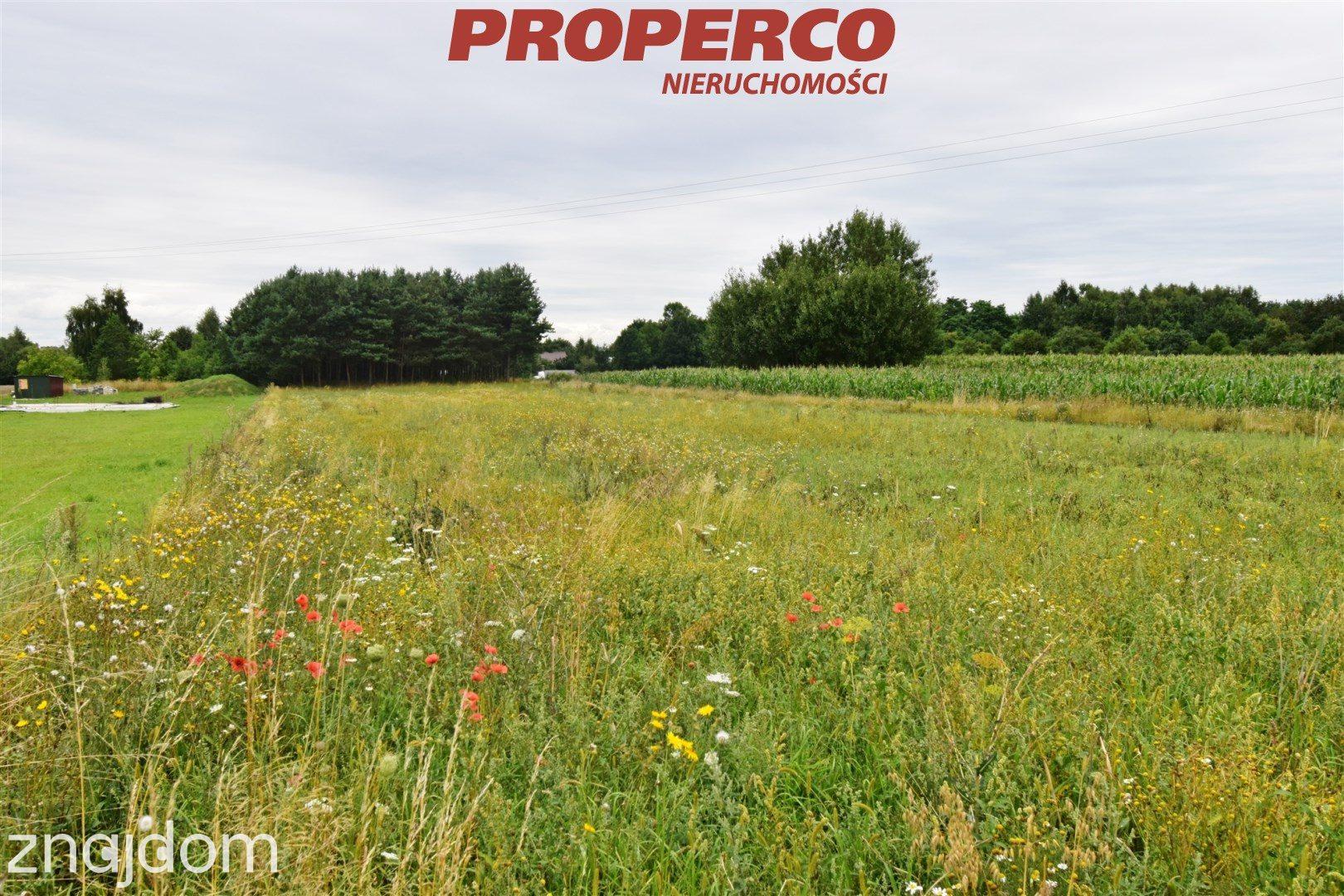 Działka 3000m2, Wolica, gm. Jędrzejów - zdjęcie 10