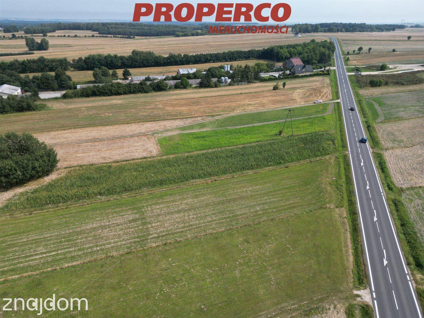 Działka 3000m2, Wolica, gm. Jędrzejów - zdjęcie 5