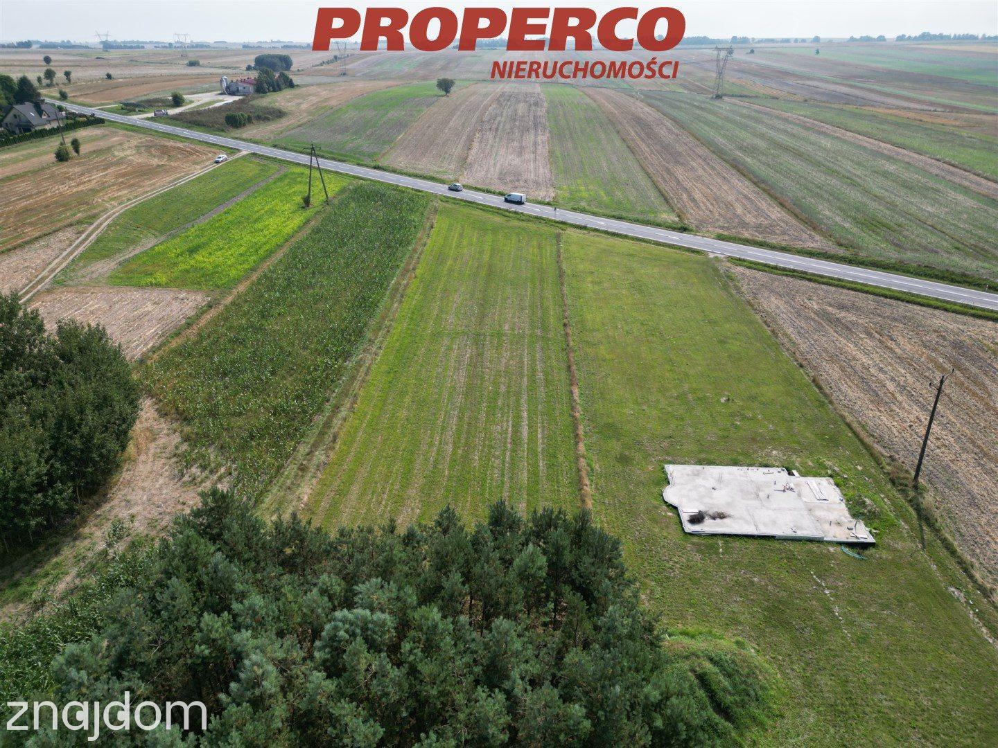 Działka 3000m2, Wolica, gm. Jędrzejów - zdjęcie 6