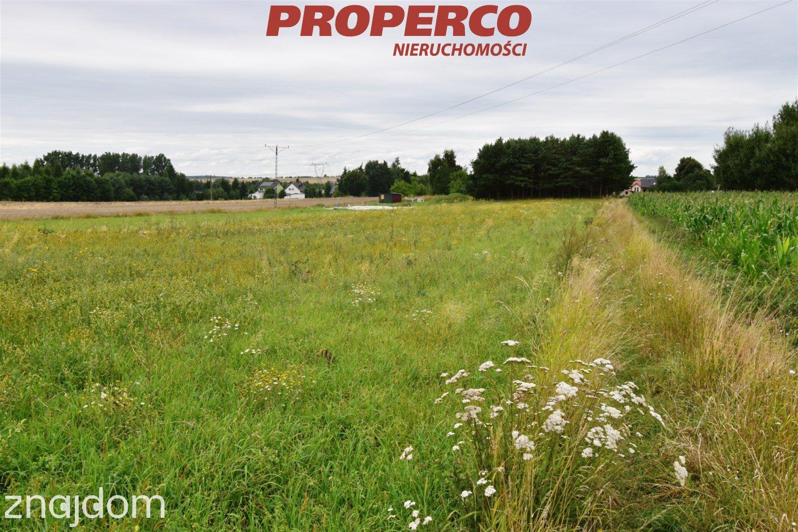 Działka 3000m2, Wolica, gm. Jędrzejów - zdjęcie 8