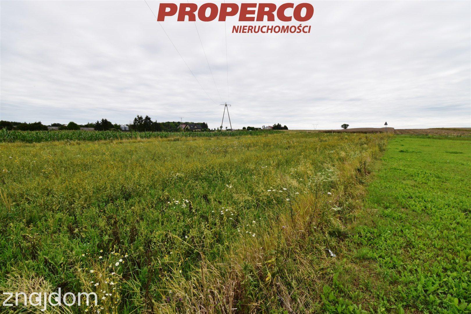 Działka 3000m2, Wolica, gm. Jędrzejów - zdjęcie 9