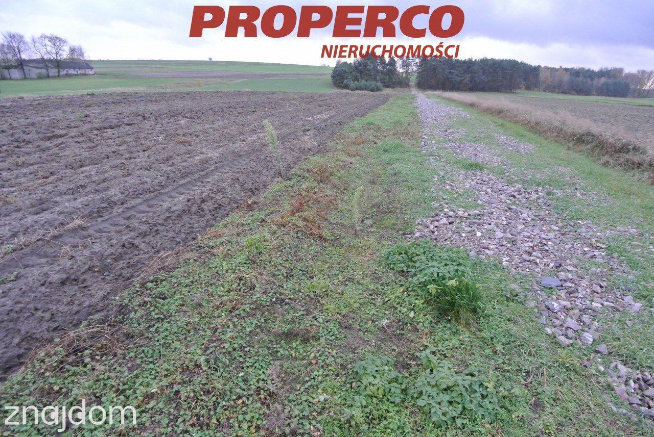 Działka 774 m2, Borki, Jędrzejów - zdjęcie 8