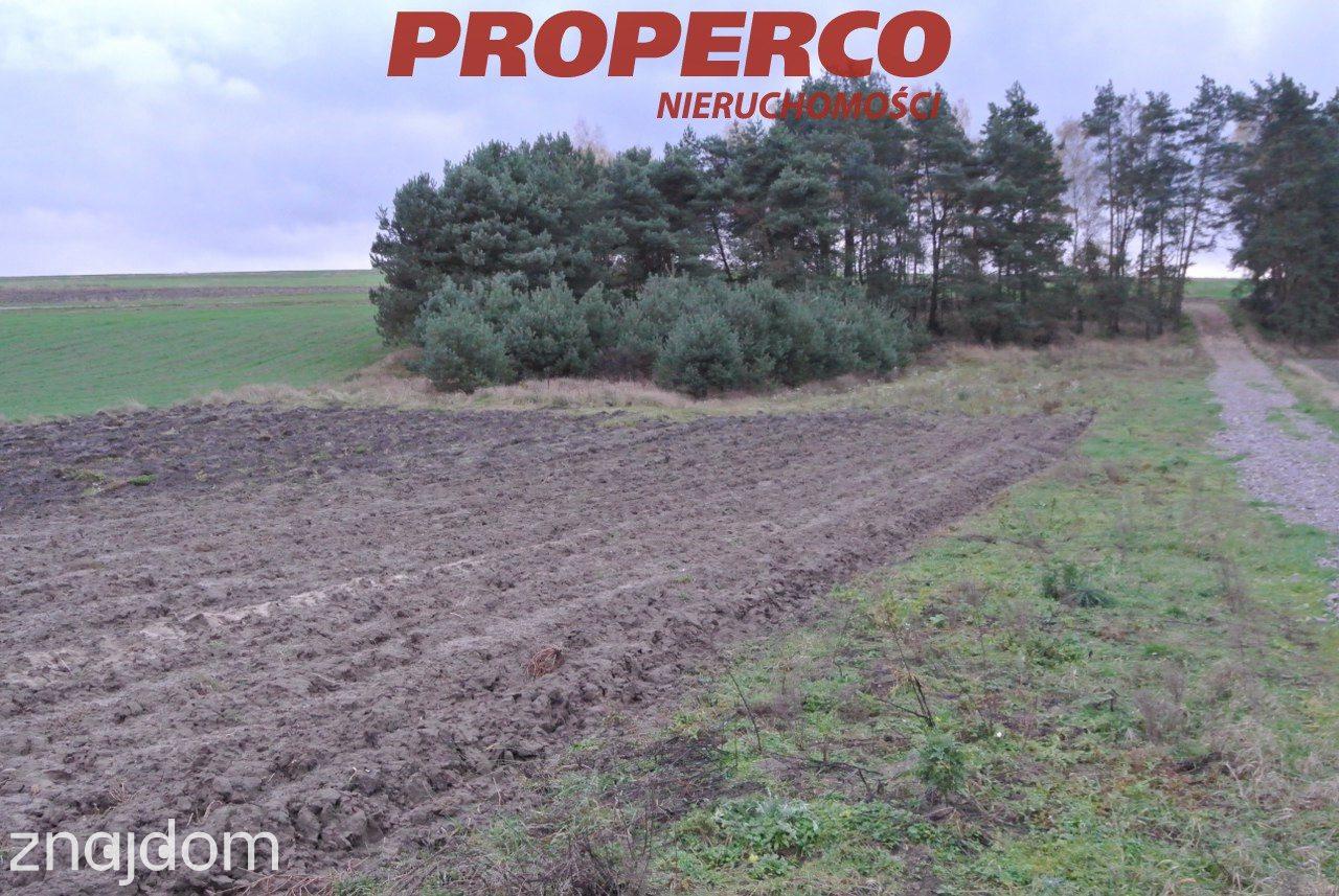 Działka 774 m2, Borki, Jędrzejów - zdjęcie 9