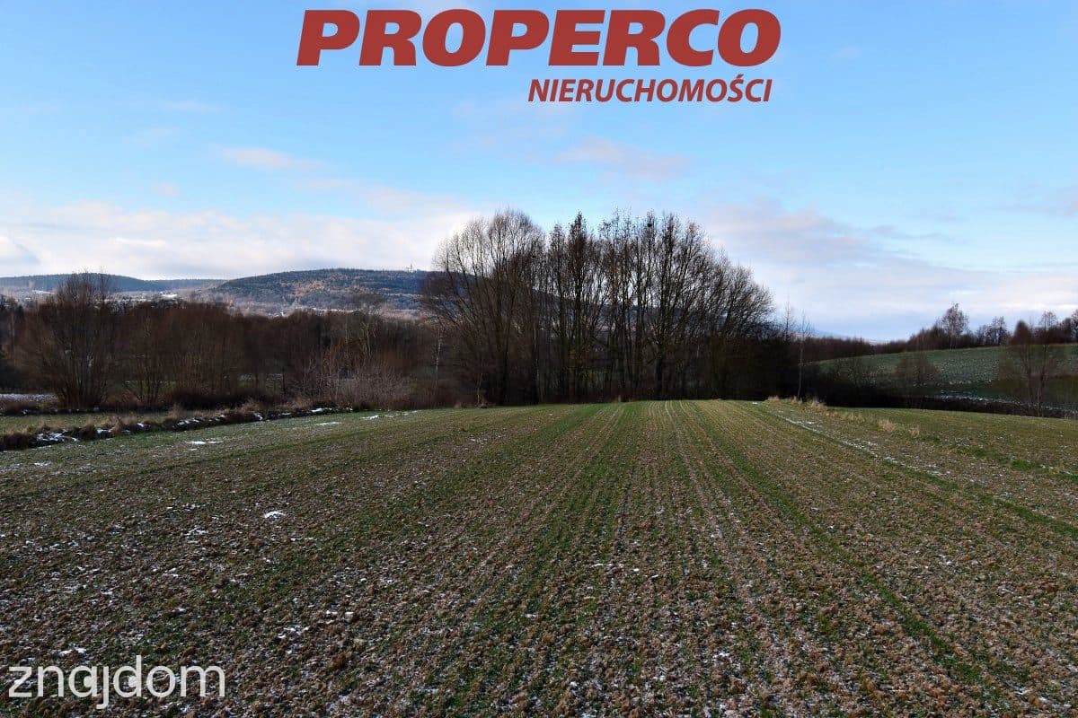 Działka, pow. 6000m2, Stara Słupia, gm.Nowa Słupia - zdjęcie 4