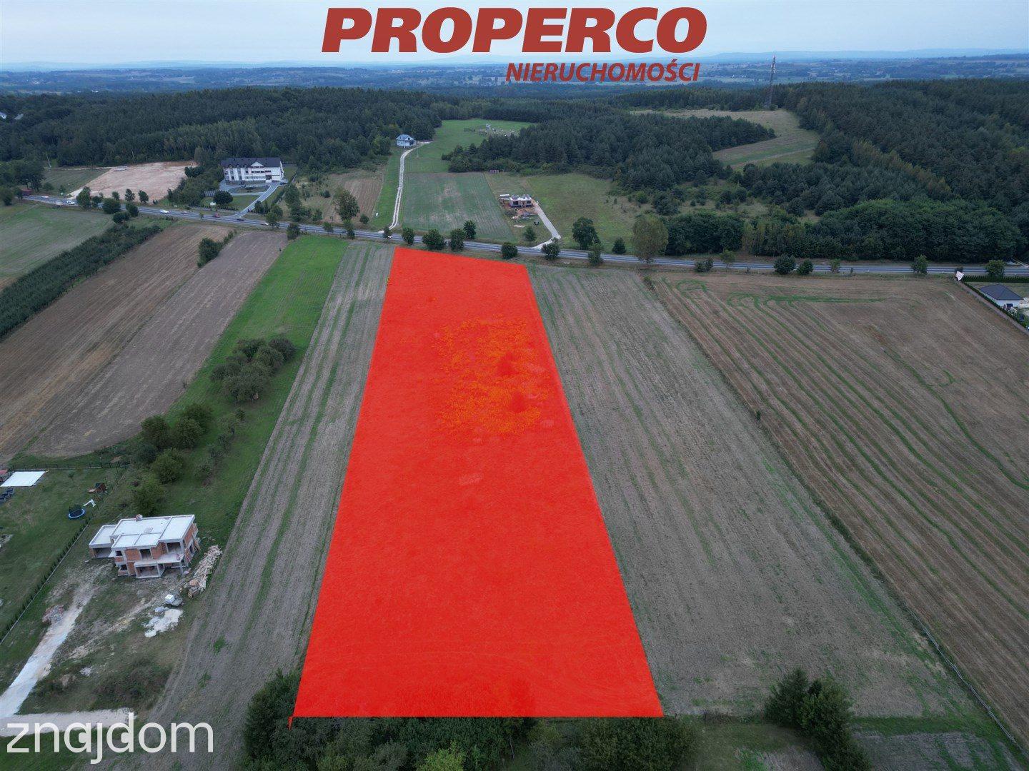 Działka 7100 m2, Minostowice, gm. Chmielnik - zdjęcie 2
