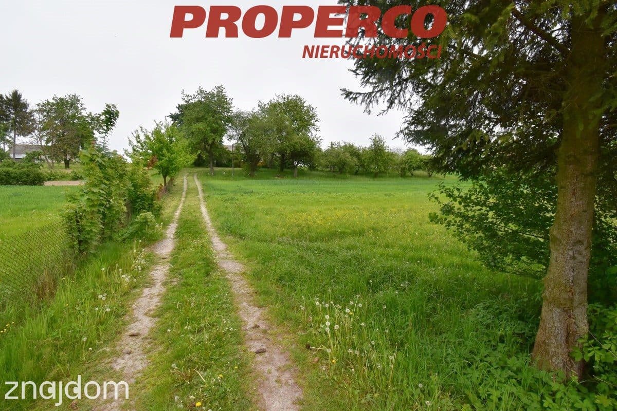 Działka, pow. 33100 m2, Jeleniów, Nowa Słupia - zdjęcie 4