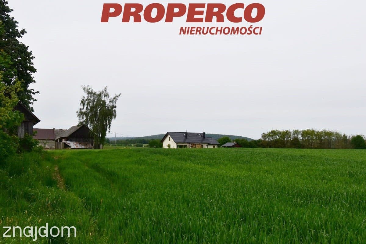 Działka, pow. 33100 m2, Jeleniów, Nowa Słupia - zdjęcie 6