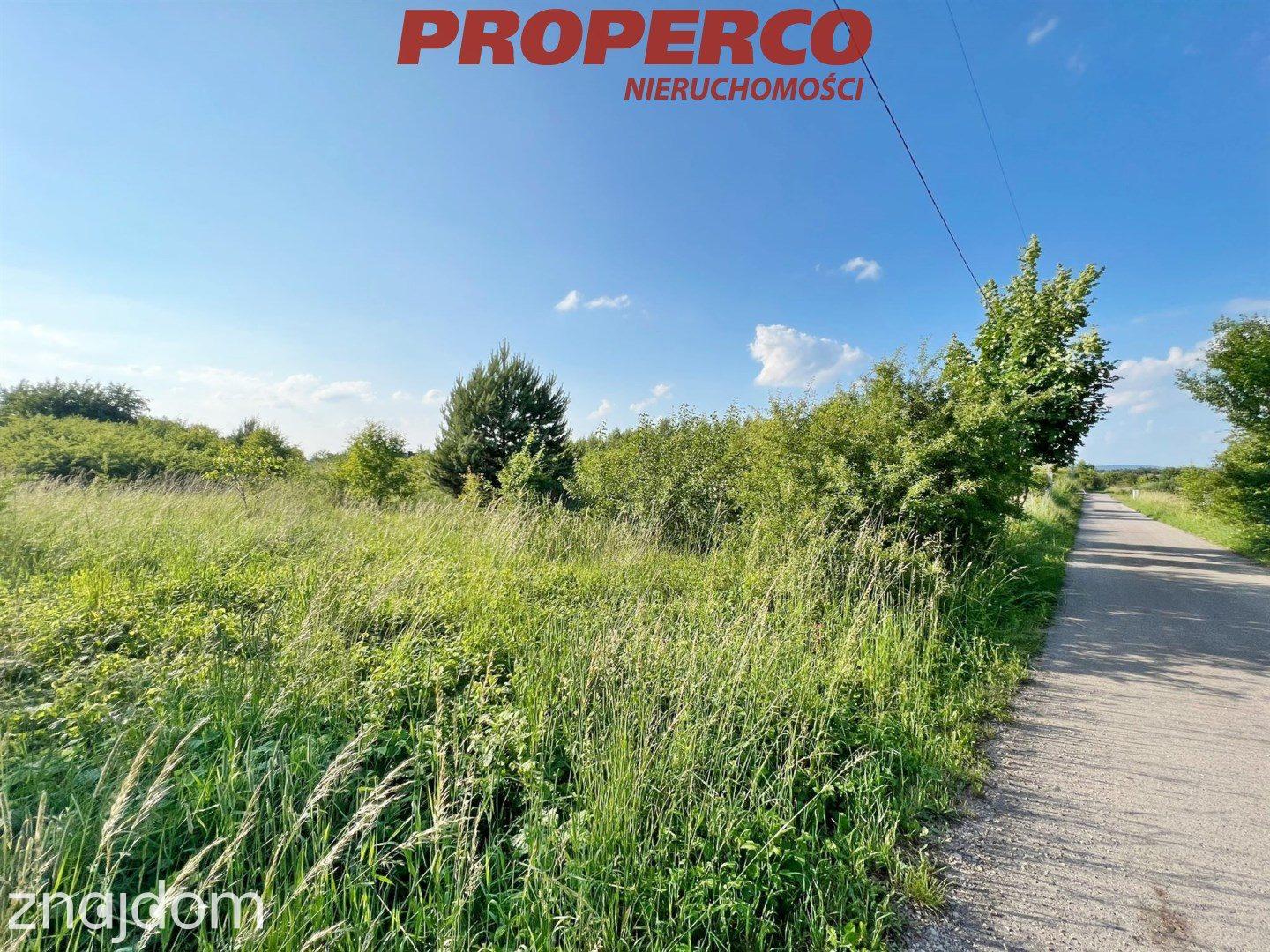 Działka z WZ, 4900m2, Siedlce, blisko węzeł Wolica - zdjęcie 4