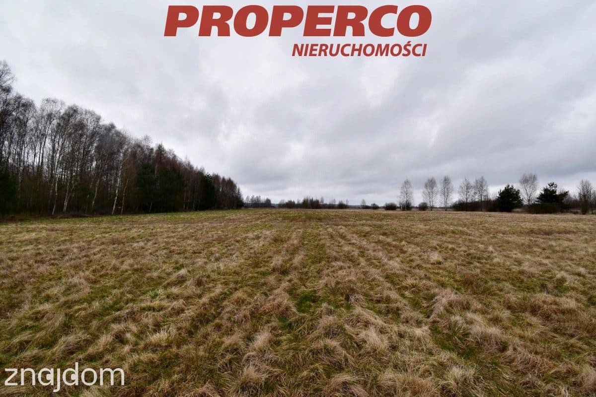 Działka, pow. 21 600 m2, Grzymałków, gm. Mniów - zdjęcie 6