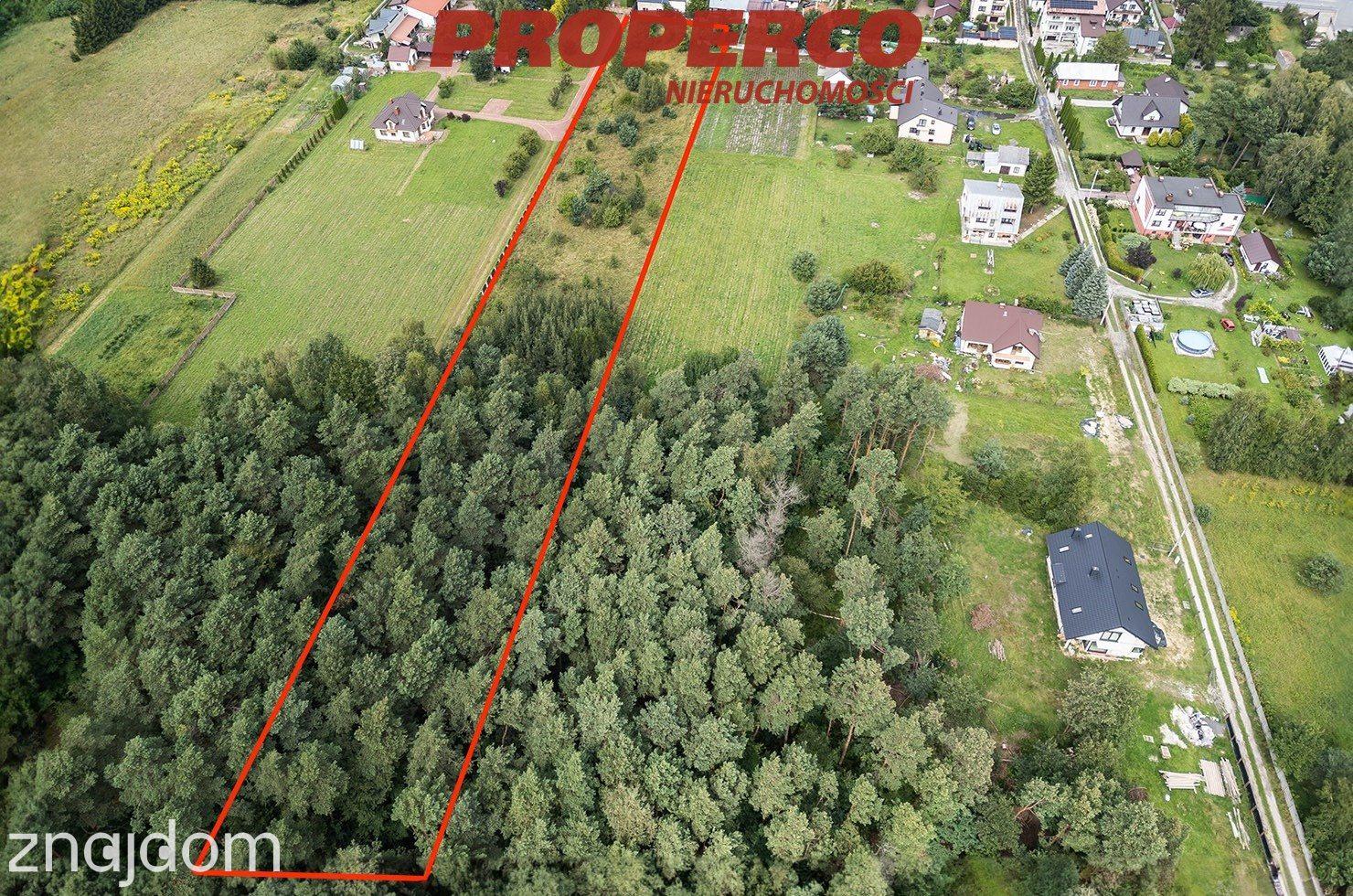 Działka 8291m2, Jaworznia, gm. Piekoszów - zdjęcie 5