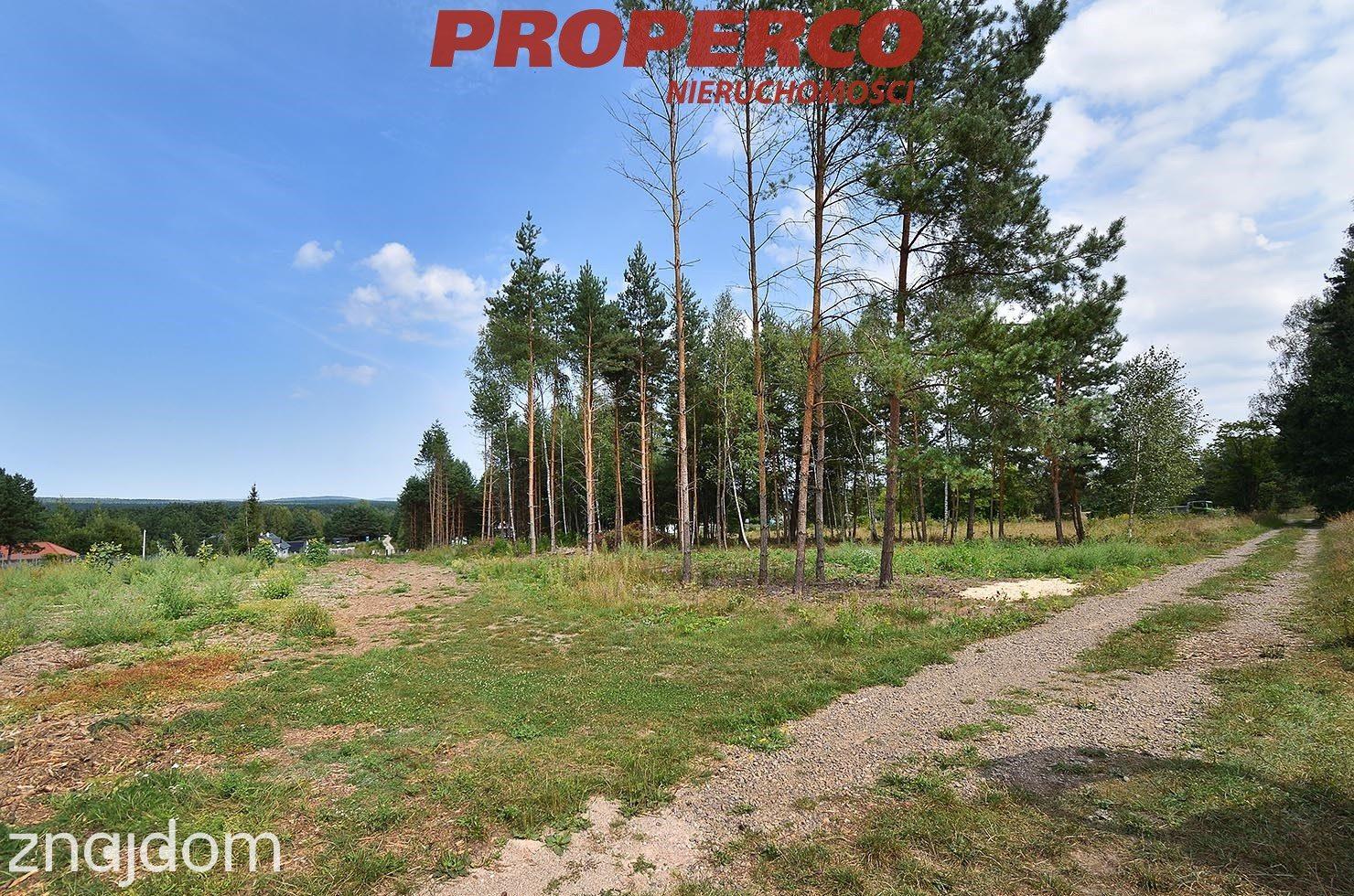 Działka 876m2, las, zalew - Borków gm.Daleszyce - zdjęcie 4