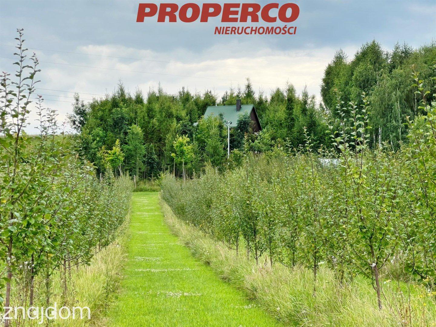 Działka 13100m2, Radkowice gm. Chęciny