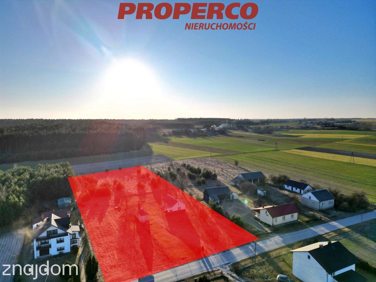 Działka z domem, pow. 7212 m2,Nowe Kotlice, Sobków - zdjęcie 2