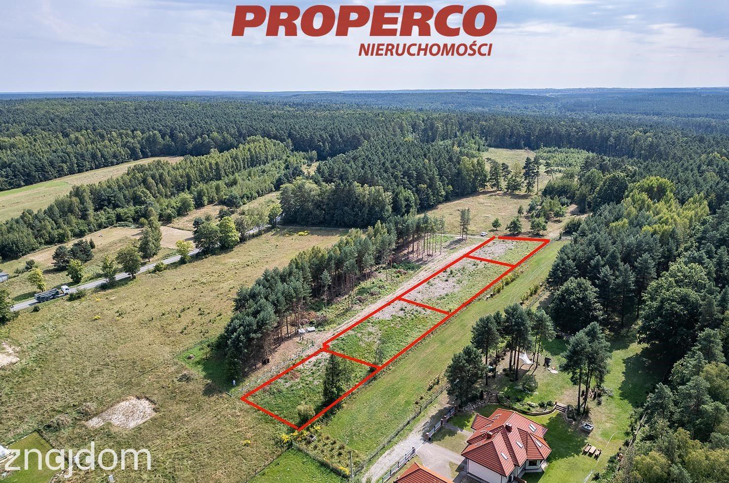 Działka 1000m2, las, zalew - Borków gm.Daleszyce - zdjęcie 5